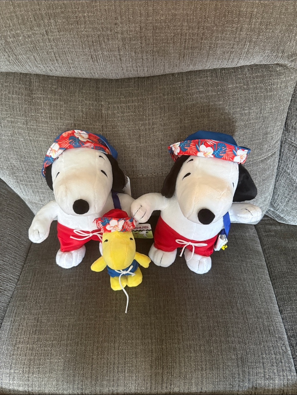 Peanuts Beach Snoopy & Woodstock Plush Set - bundle of three.